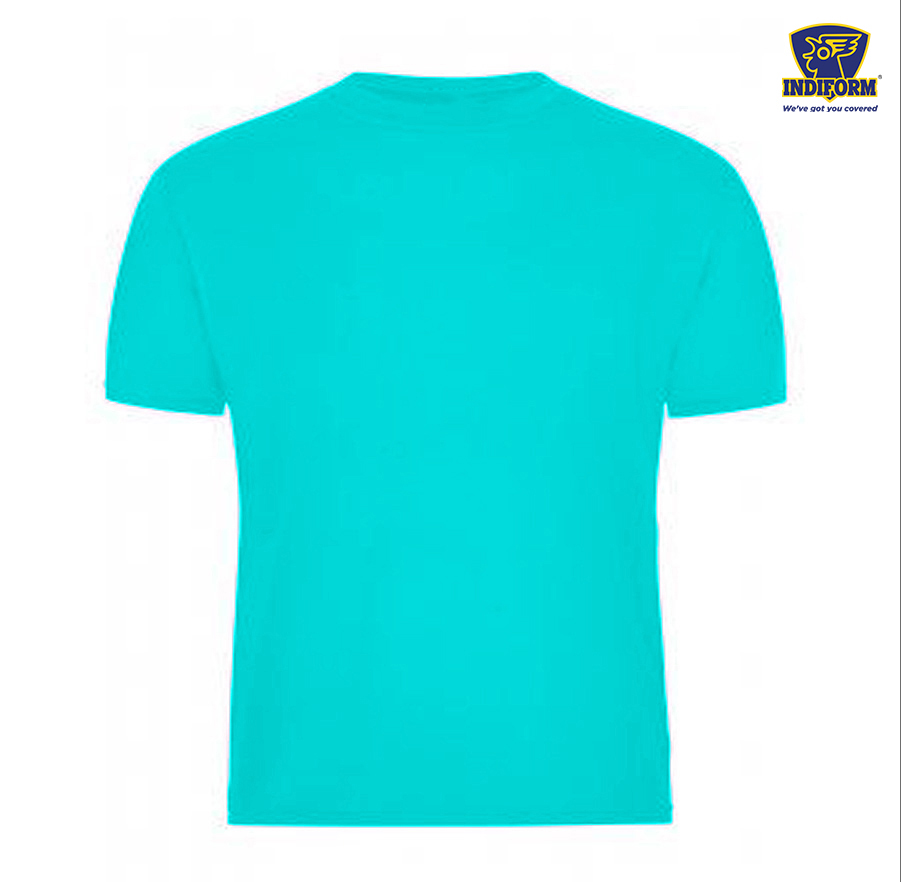 INDIFORM  MEN'S ROUND NECK TSHIRT POLYESTER -009